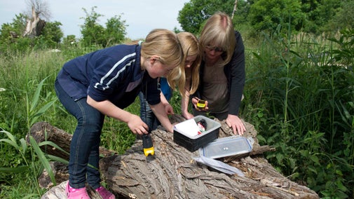 Visitors finding a geocache box at Wicken Fen National Nature Reserve, Cambridgeshire
